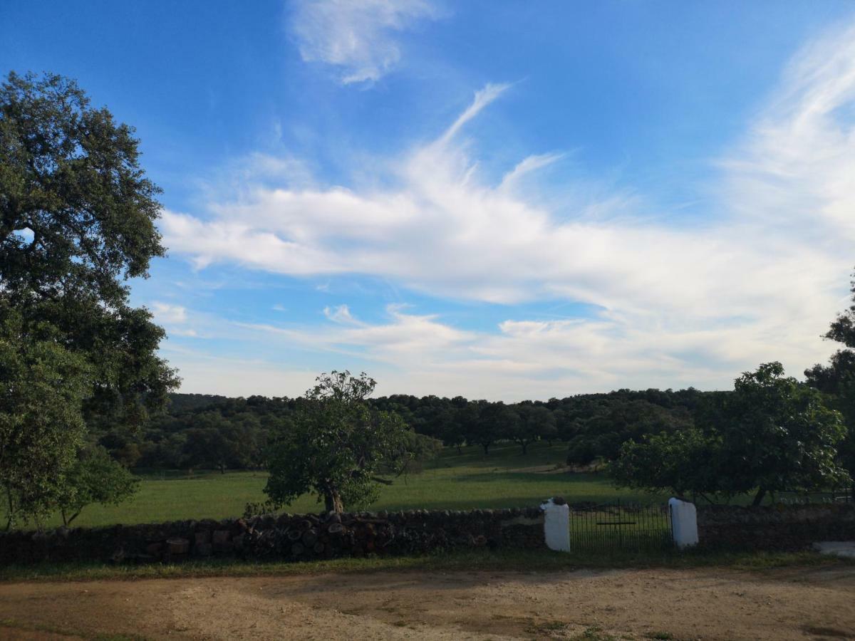 Casa Rural La Dehesilla 查兹拉德拉谢拉 外观 照片