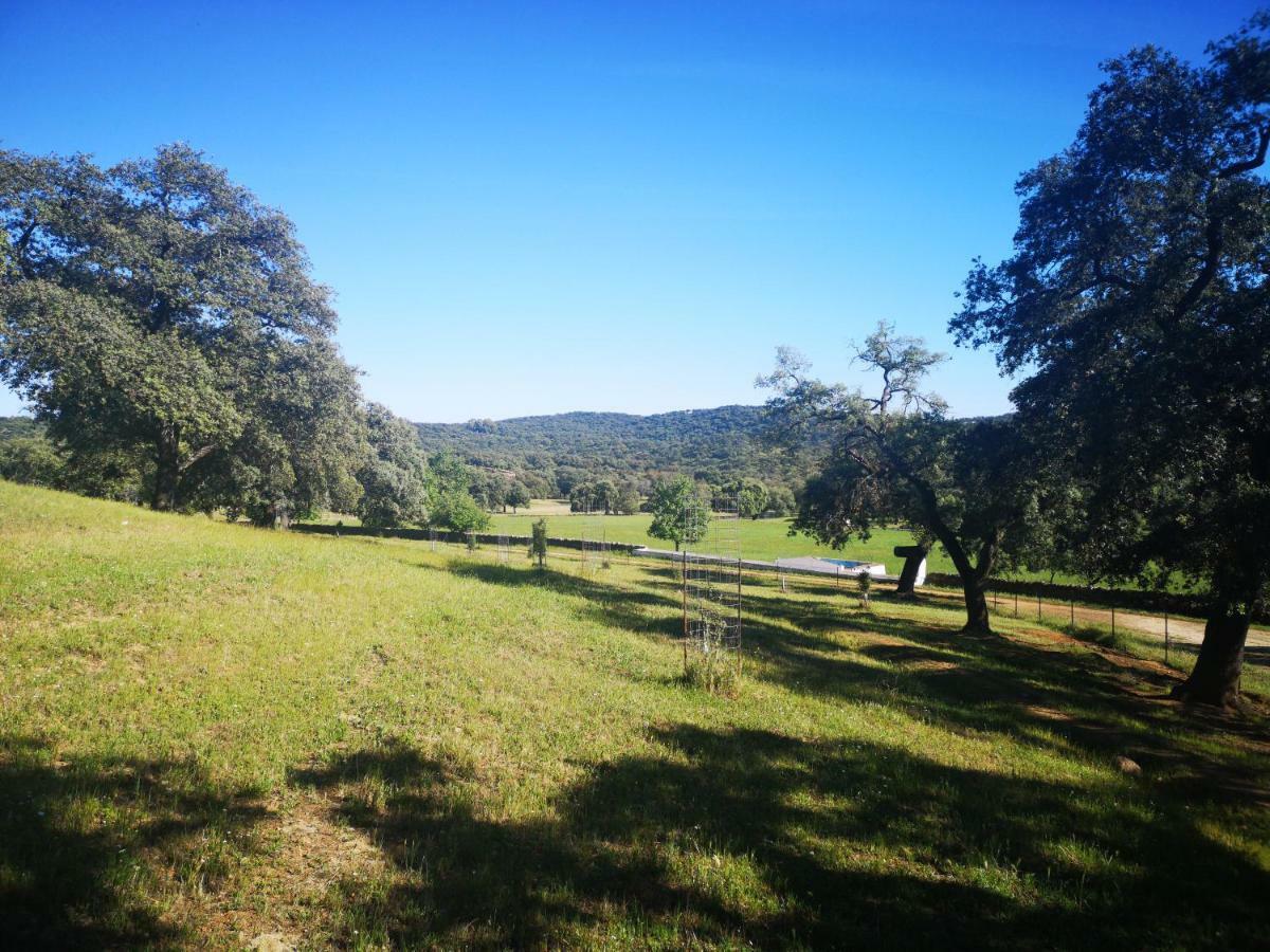 Casa Rural La Dehesilla 查兹拉德拉谢拉 外观 照片